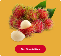 our specialty